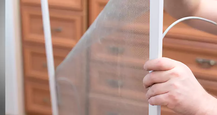 Privacy Mesh Screen Door Installation in Hialeah Gardens, FL